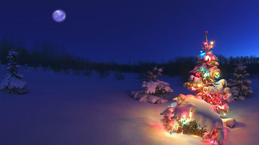 Evergreens