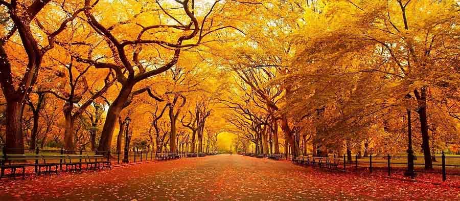 Fall